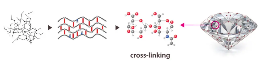 HA Cross-Linking Procedure Steps of FHL's proprietory DIAMOLD Dialysis and Molding Technology for cross-linked HA